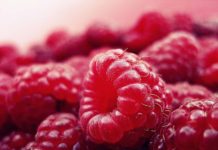 The True Meaning of Paleo